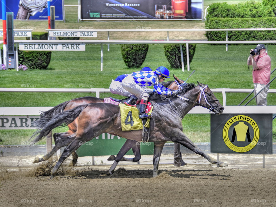 zazzle.com/Fleetphoto for the largest selection of Horse racing gifts. 

Royal Saint nosing out Great Stuff at the wire where champions are crowned, Belmont Park.
