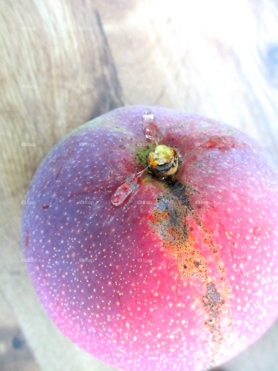 Closeup of freshly picked mango