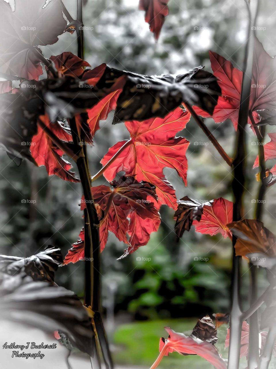 seasons through the window. When the weather is bad outside or good, indoors can be a personal relaxing getaway.