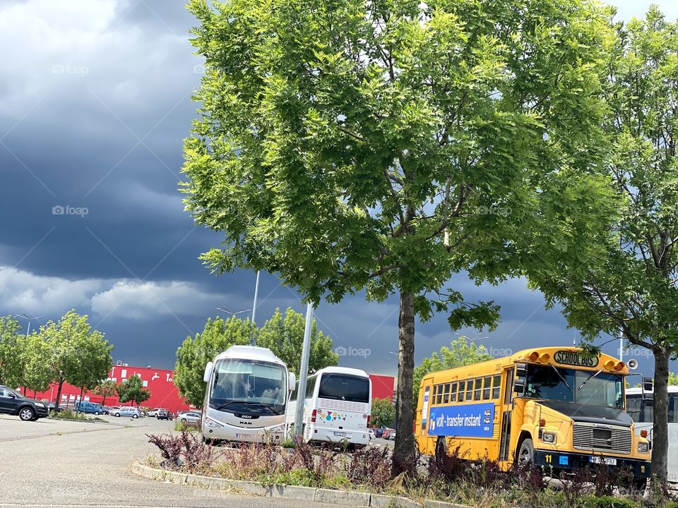 Blue sky, green tree, yellow bus