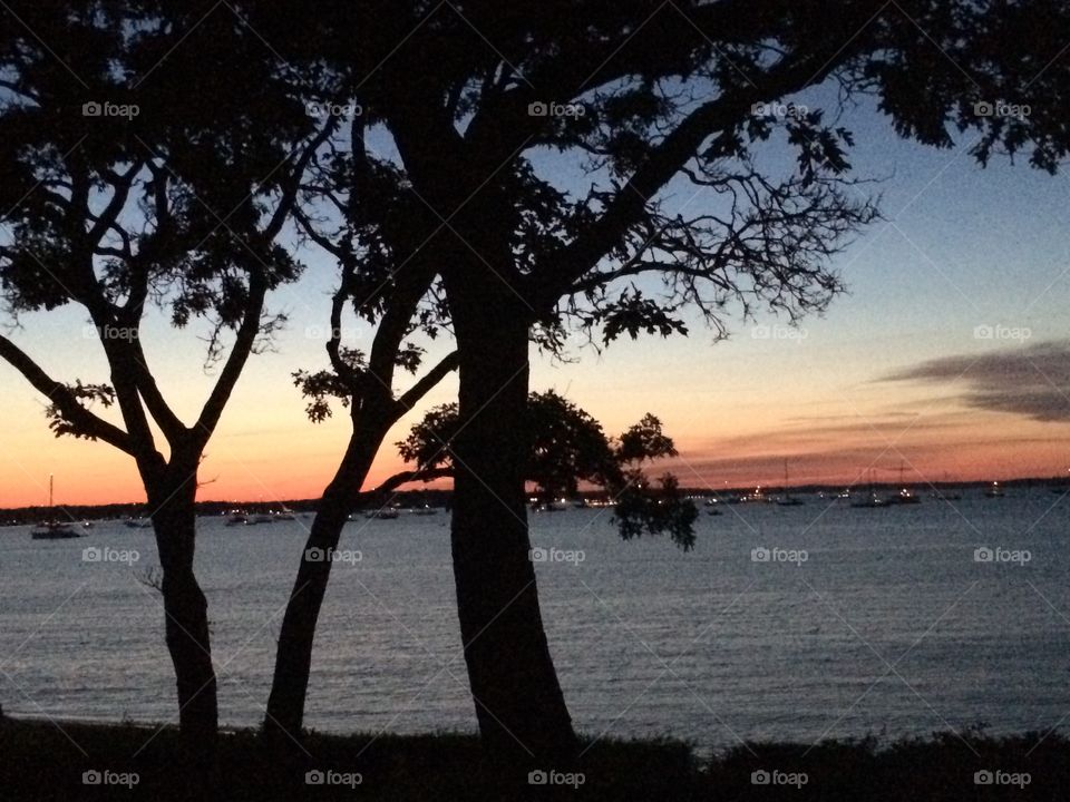 Hamptons shoreline at night 