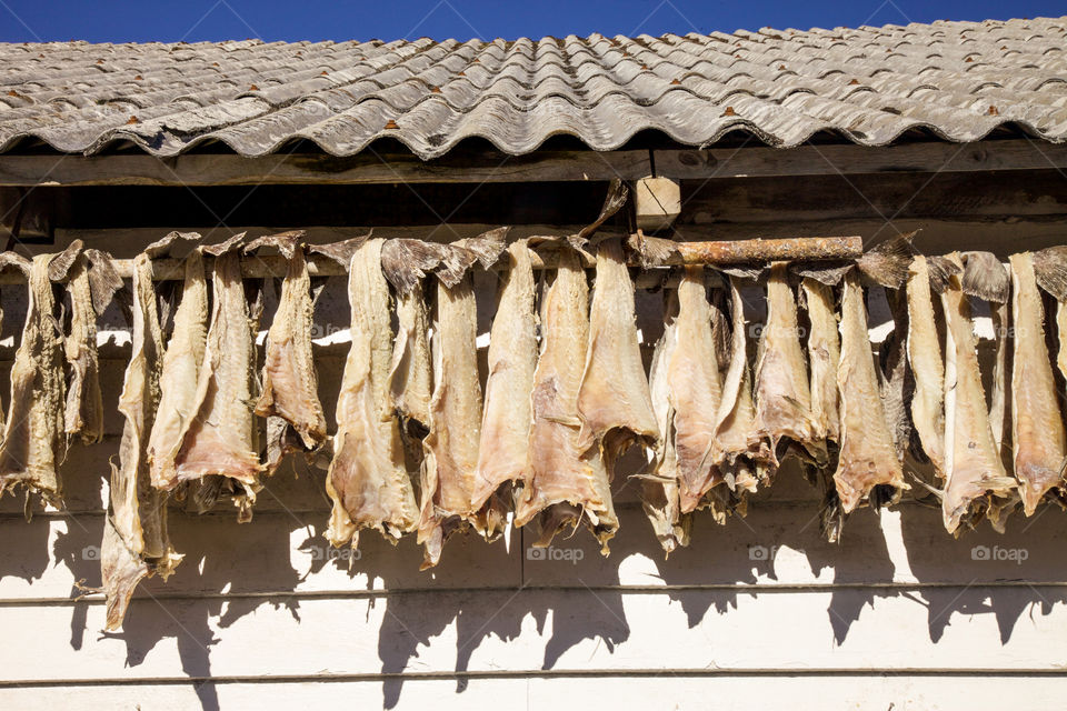 Hanging codfish