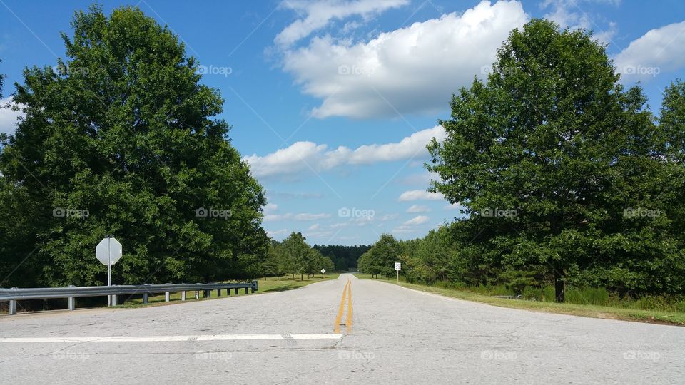 Road, Tree, No Person, Landscape, Asphalt