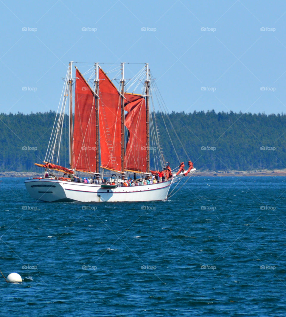 Large Sailboat with red sails! The Red Story! Red is color of passion. It's the color that is always seen on heart decorations on     Valentine's Day! Red is astonishing, exhilarating, and fills your world through feelings and emotions! 