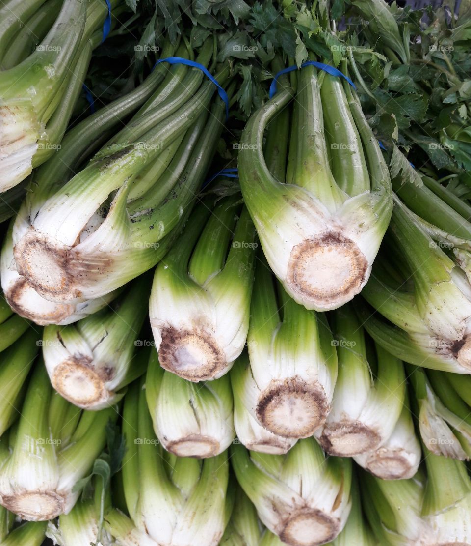 Close-up of vegetables