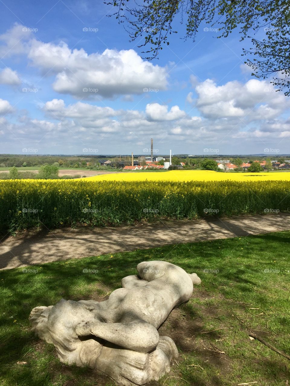 Field, Denmark