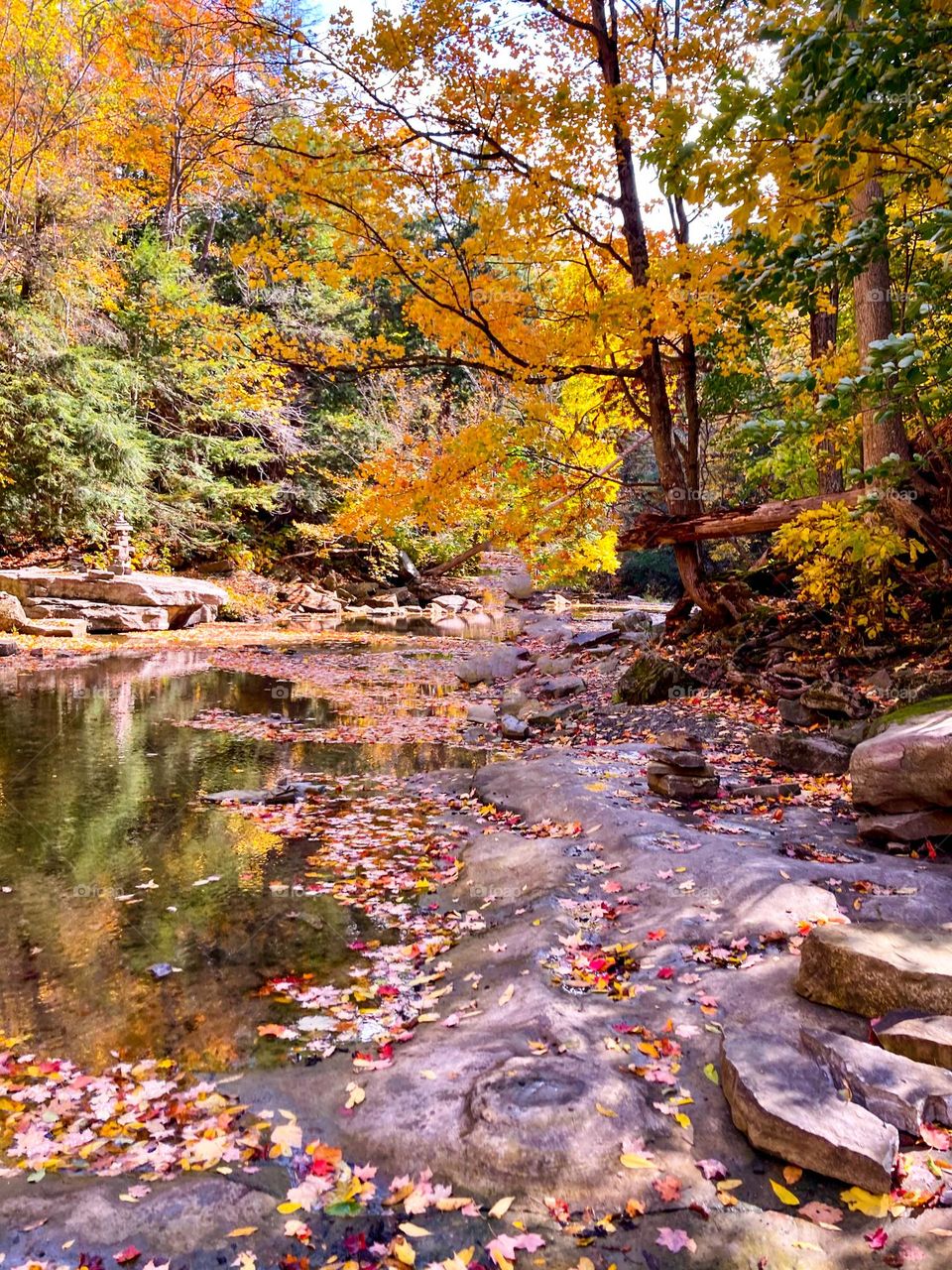 Fall along the riverbed.