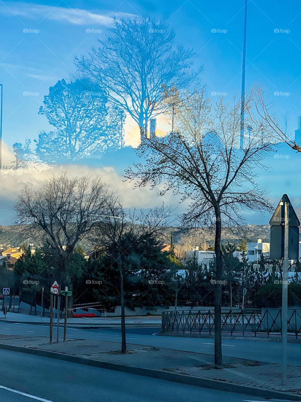 Naturally-Occurring Double Exposure on bus stop glass pane, with trees, and the sunrise in Madrid. Clear skies.