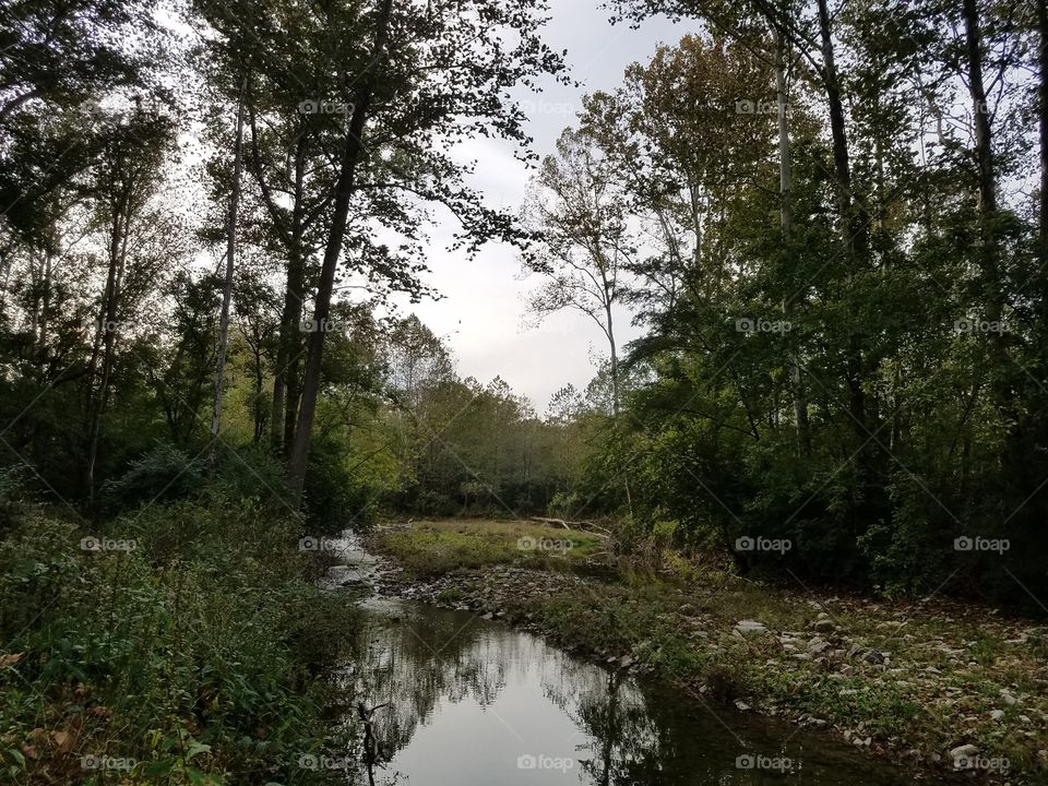 Elk Creek Flowing in Green Season
