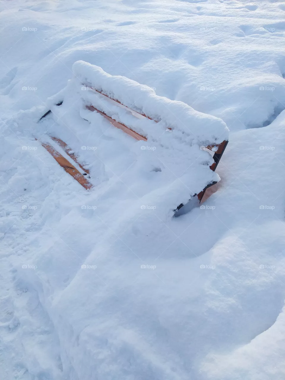 bench  in the snow