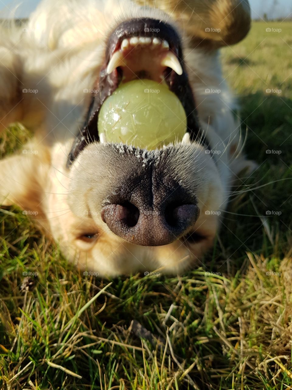 I've got the ball!