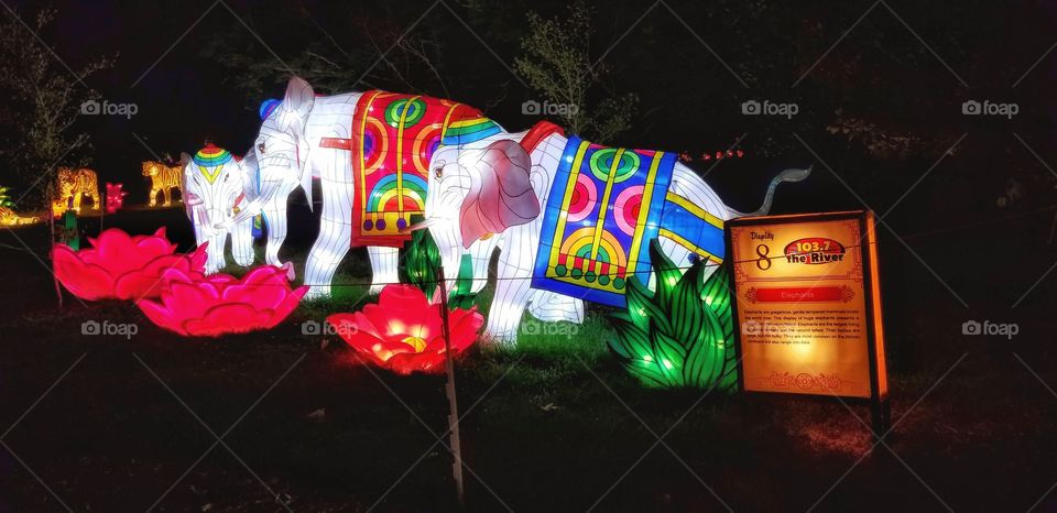 ILLUMINATION of Lights