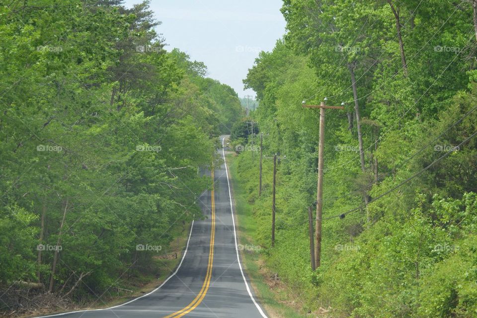 Rural road in Maryland