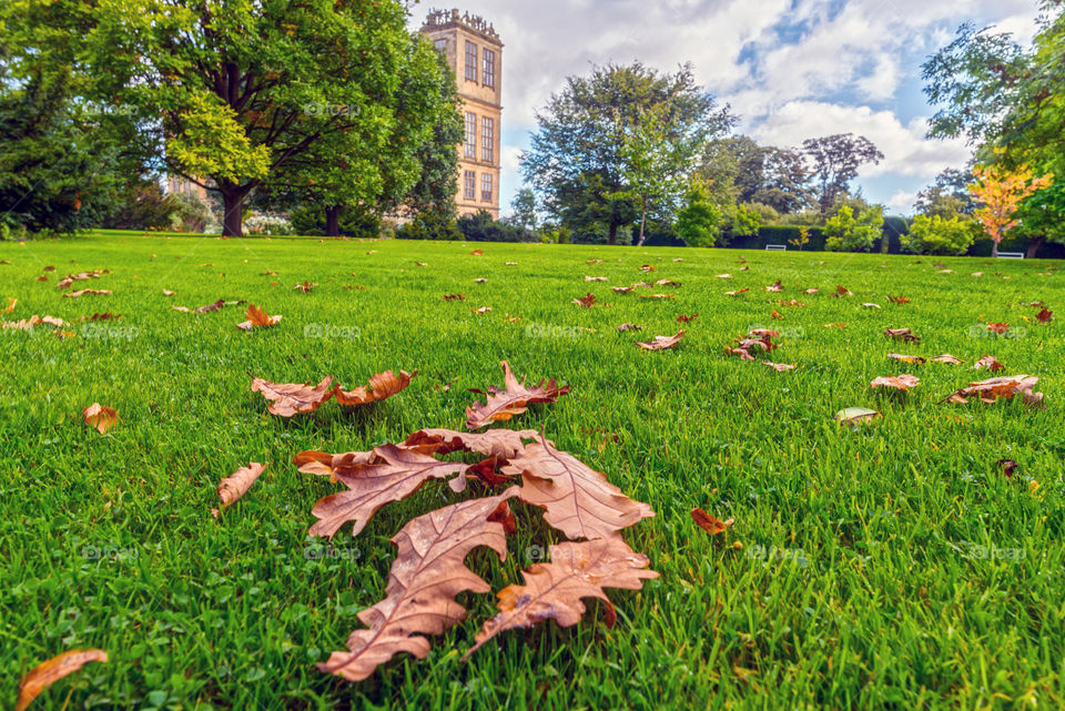 Leaves are falling at Hardwick Hall