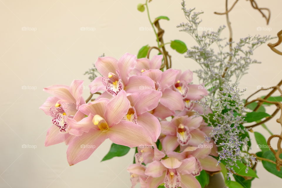 Pink orchids in a floral arrangement