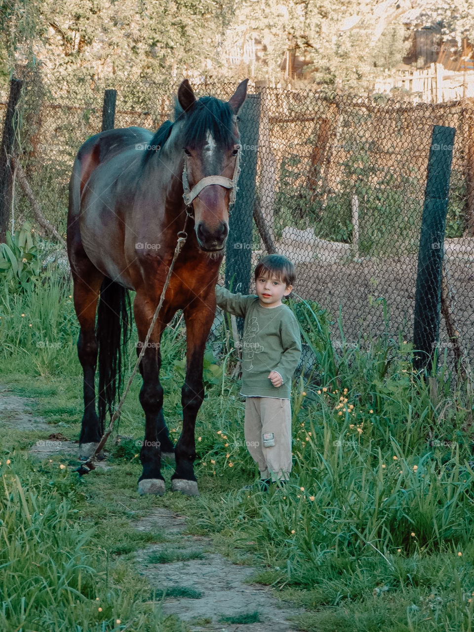 Horse and kid's