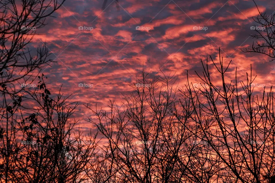 beautiful sunset