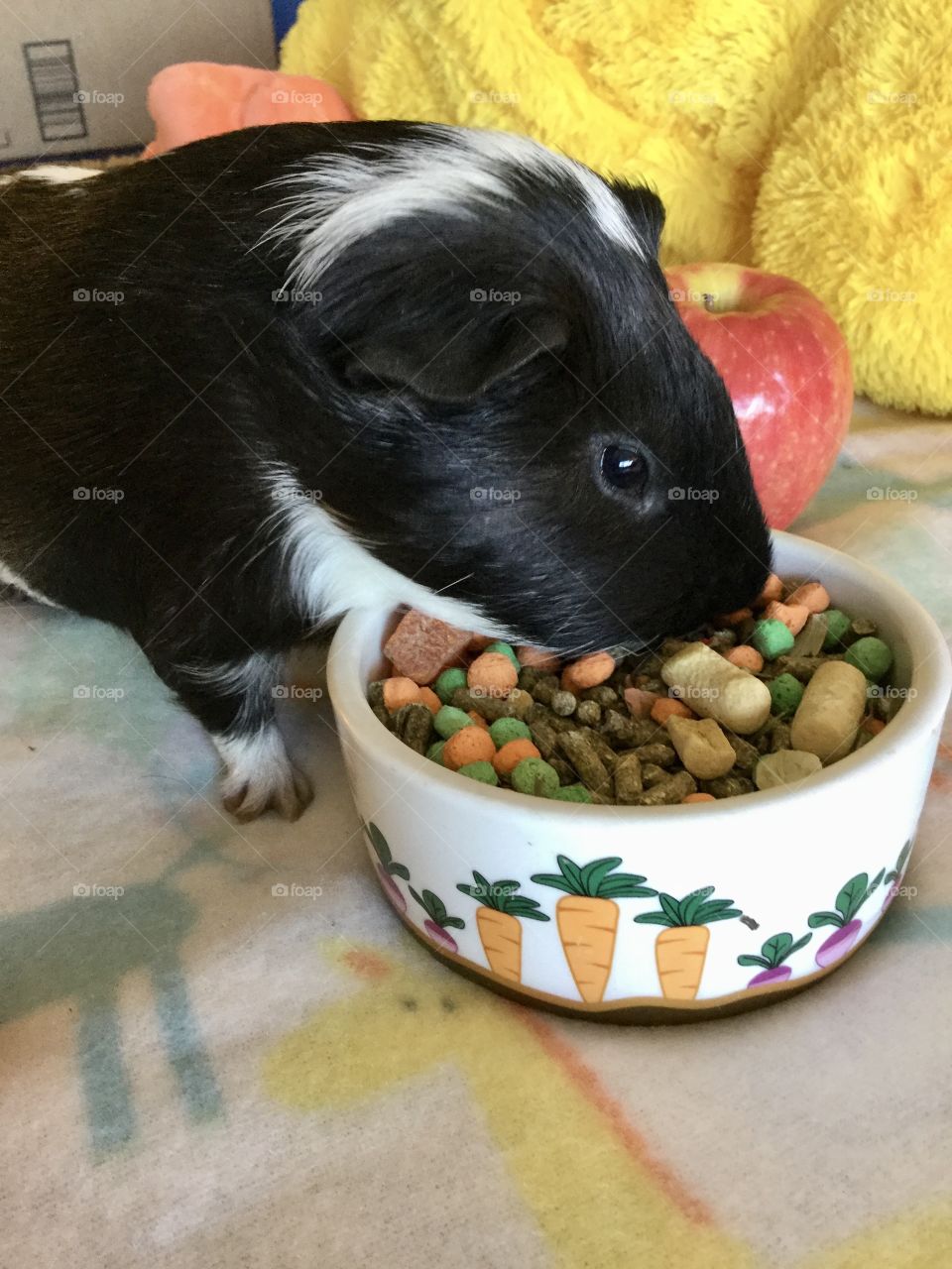 Hungry little boy Timmy 