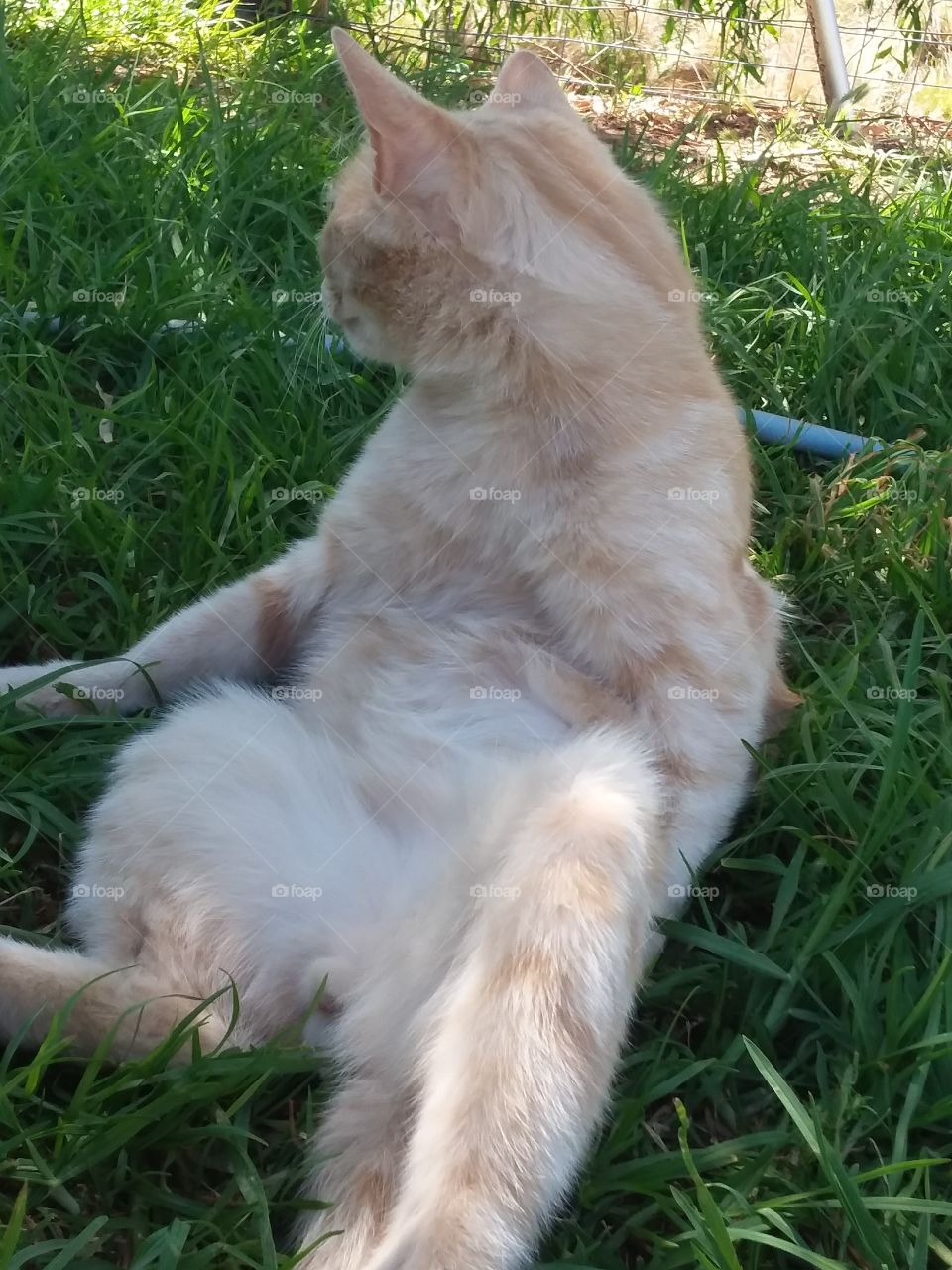 Just looking at what's going on