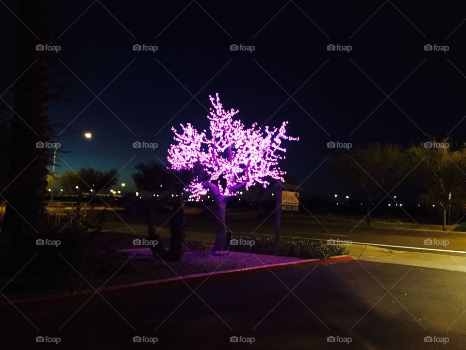 Glow tree 