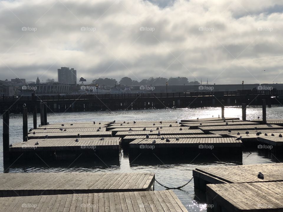 Dawn in the pier 