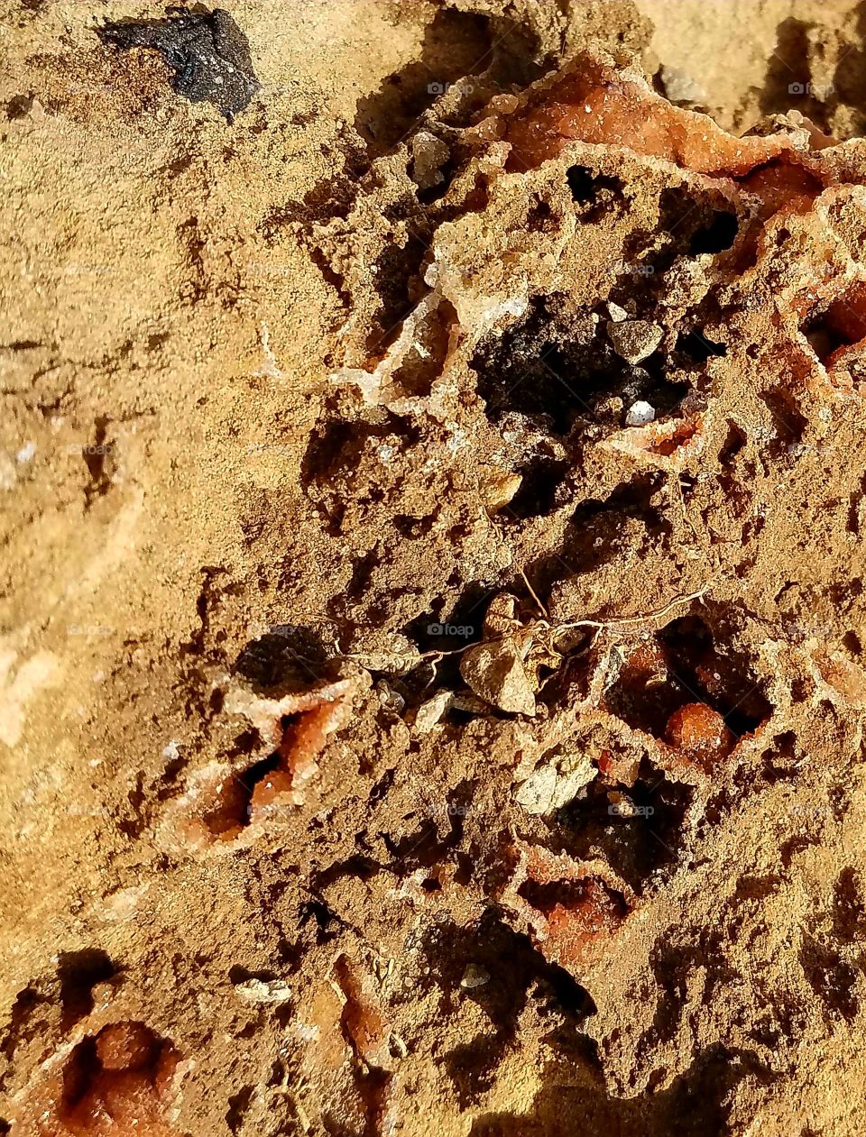 What can we Really see in a Rock