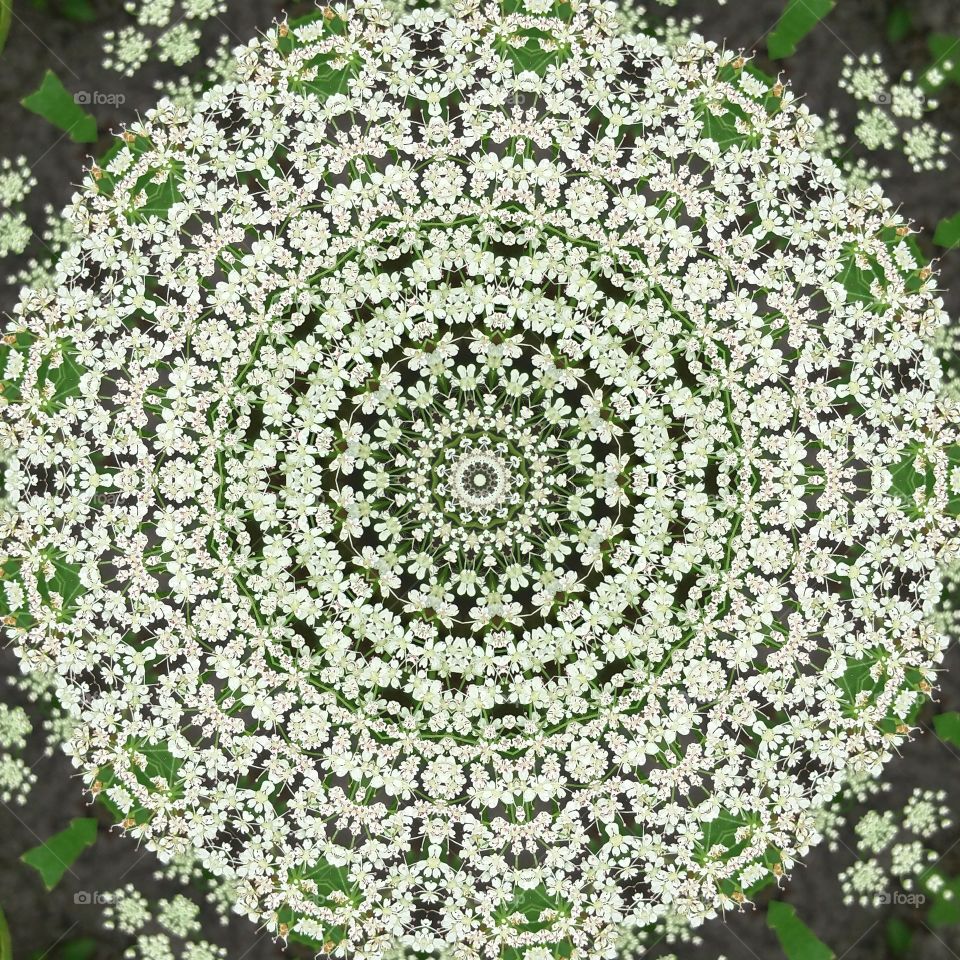 White  mandala