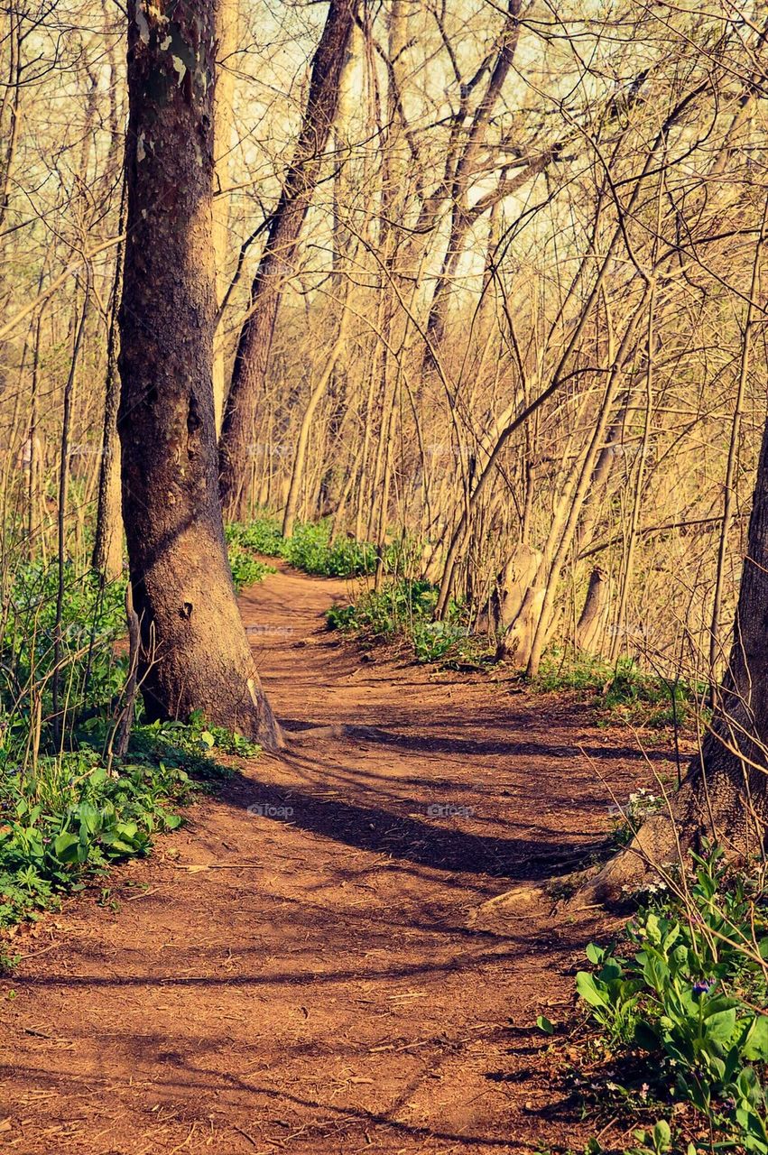 Spring Hike