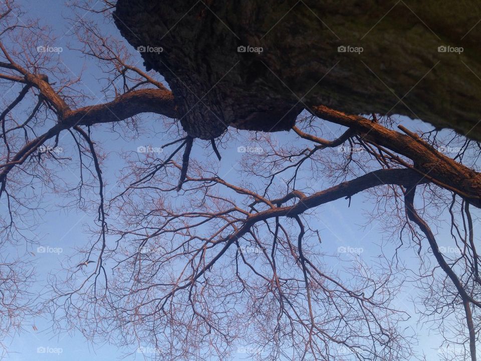 Up the three at Pennington flash