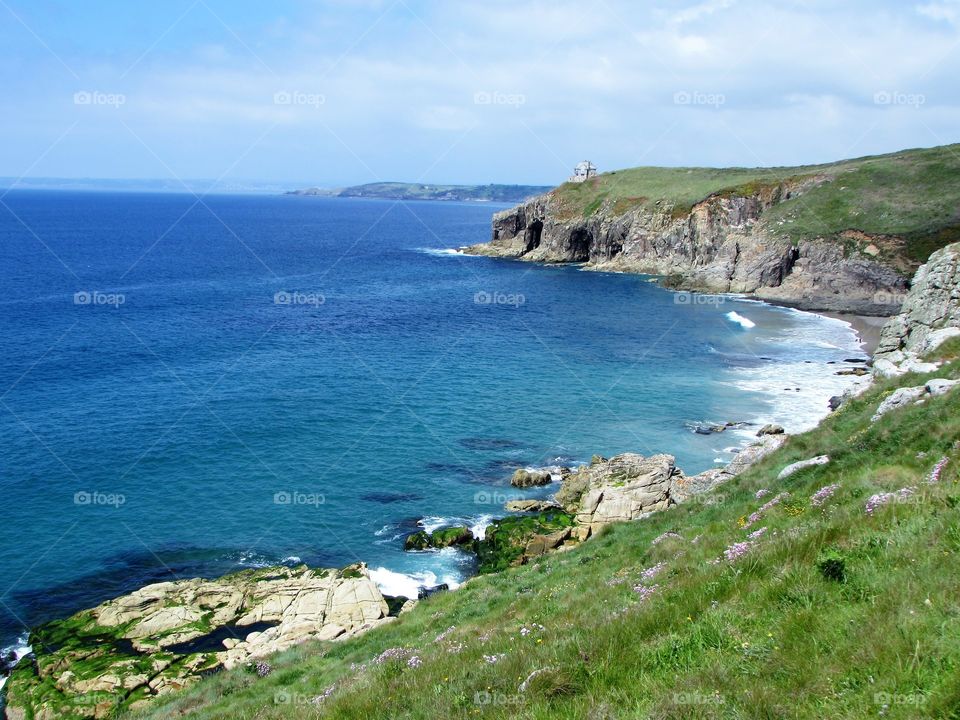 Rinsey Cove