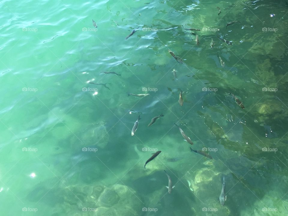 In the cold waters of the coast is Spain