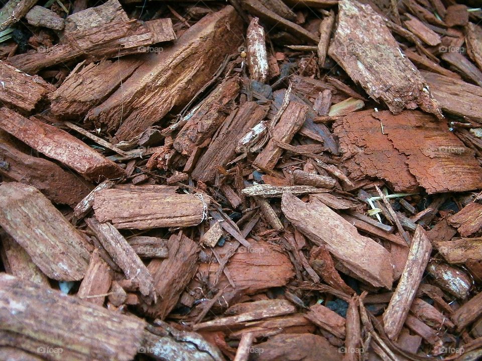 wood chips