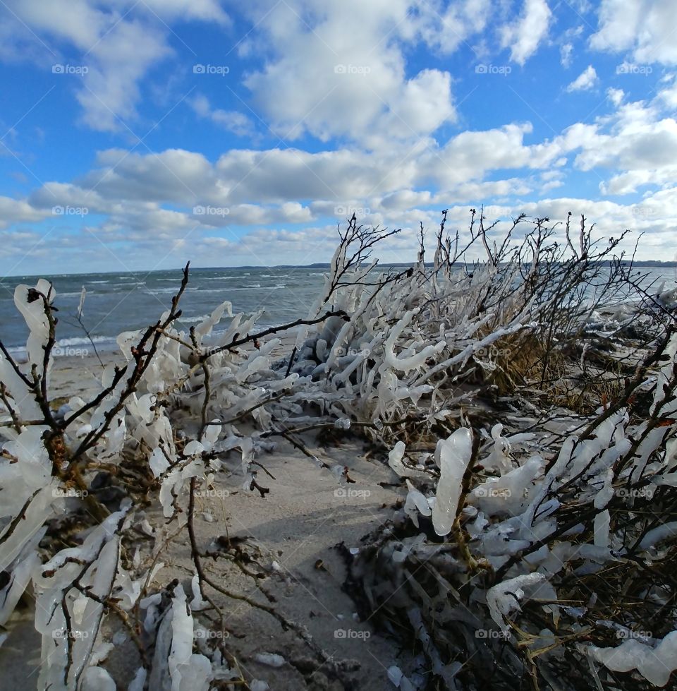 froozen eis kalt gefroren frieren kälte winter klarer Himmel