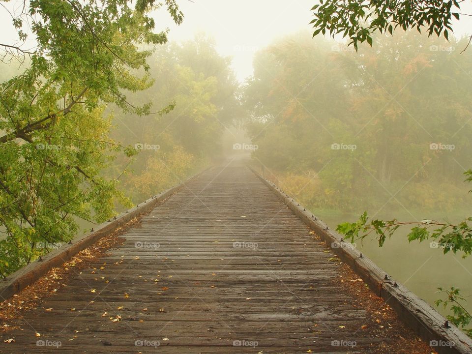 Foggy bridge 