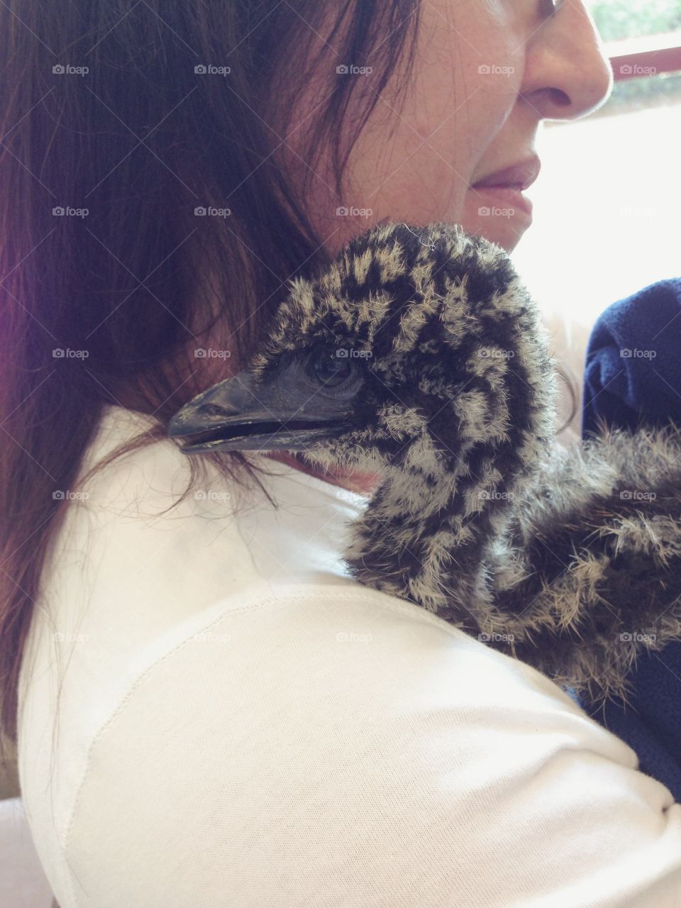 Baby Emu @ Cornell University