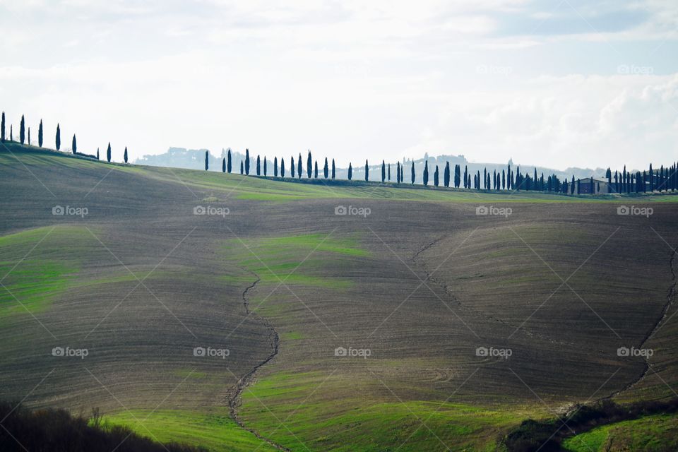 Classical Tuscany