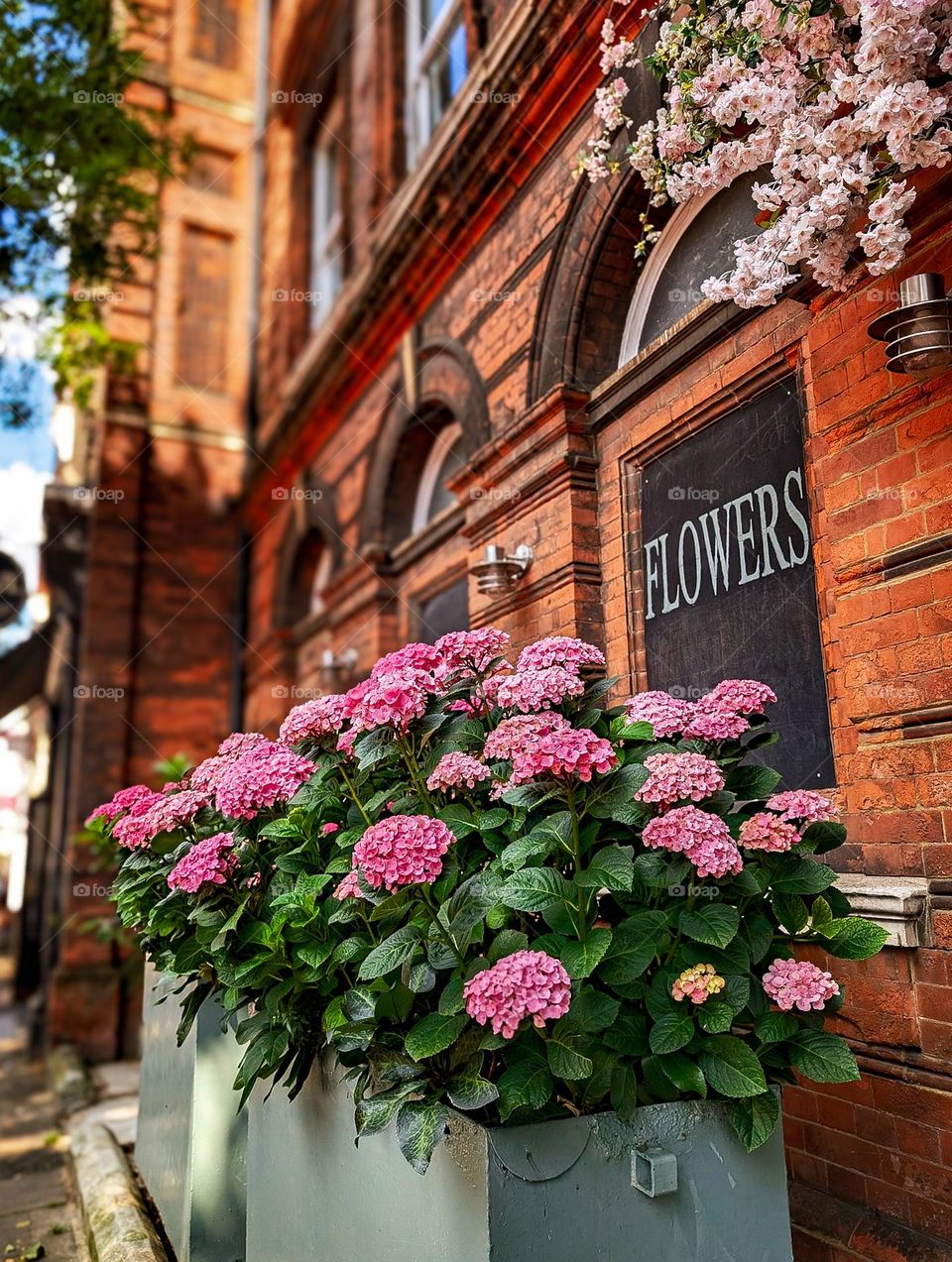 flower shop