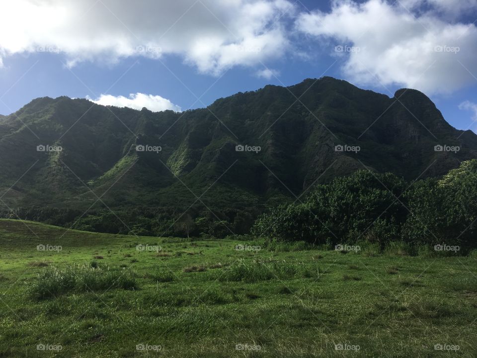 A piece of paradise in Oahu, Hawaii where they filmed Jurassic Park 
