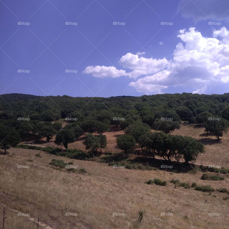 Battle: Countryside vs City