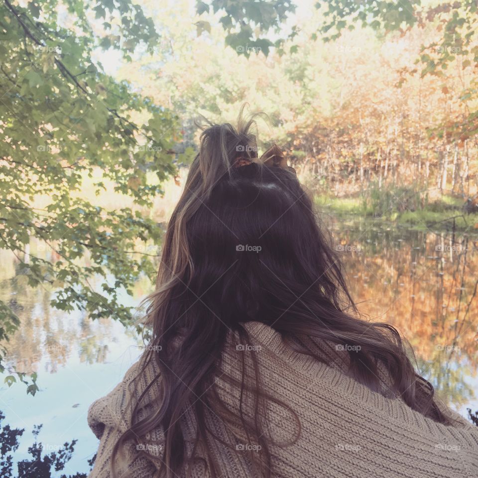 Falls view from a strong little thinker 