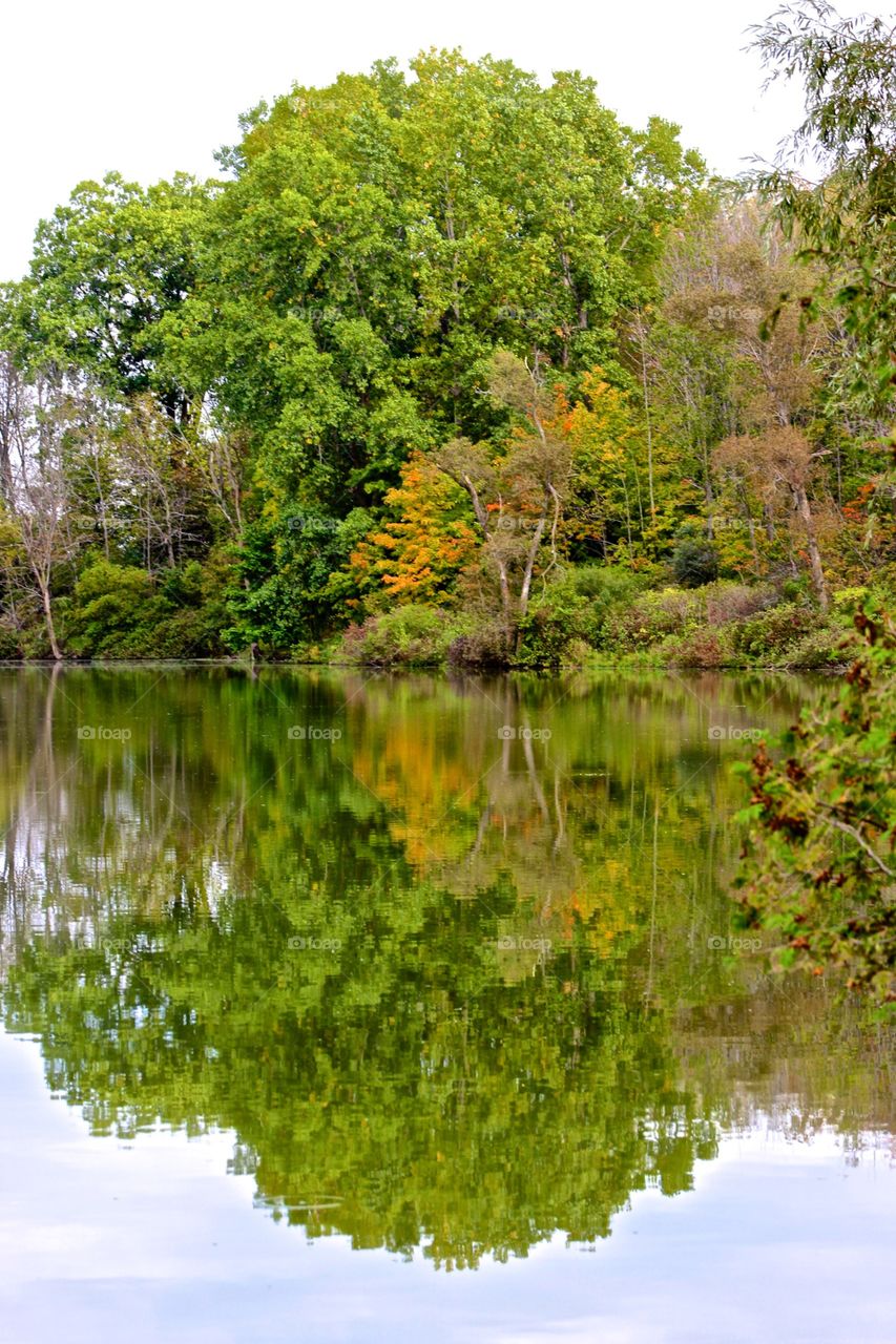 Autumn reflections.