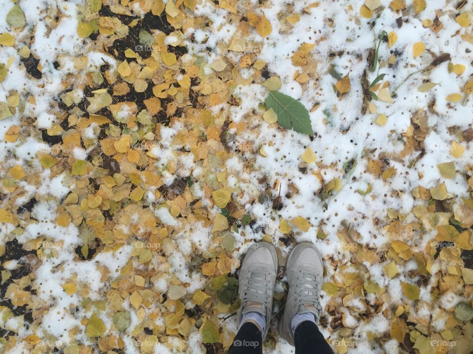 Person standing on snow in autumn