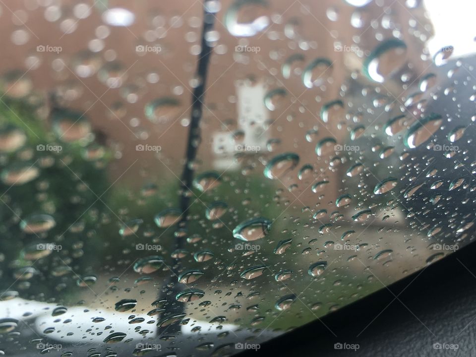 Rain
