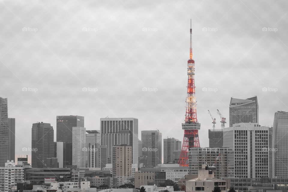 Tokyoo tower and skyscraper in the nice scene