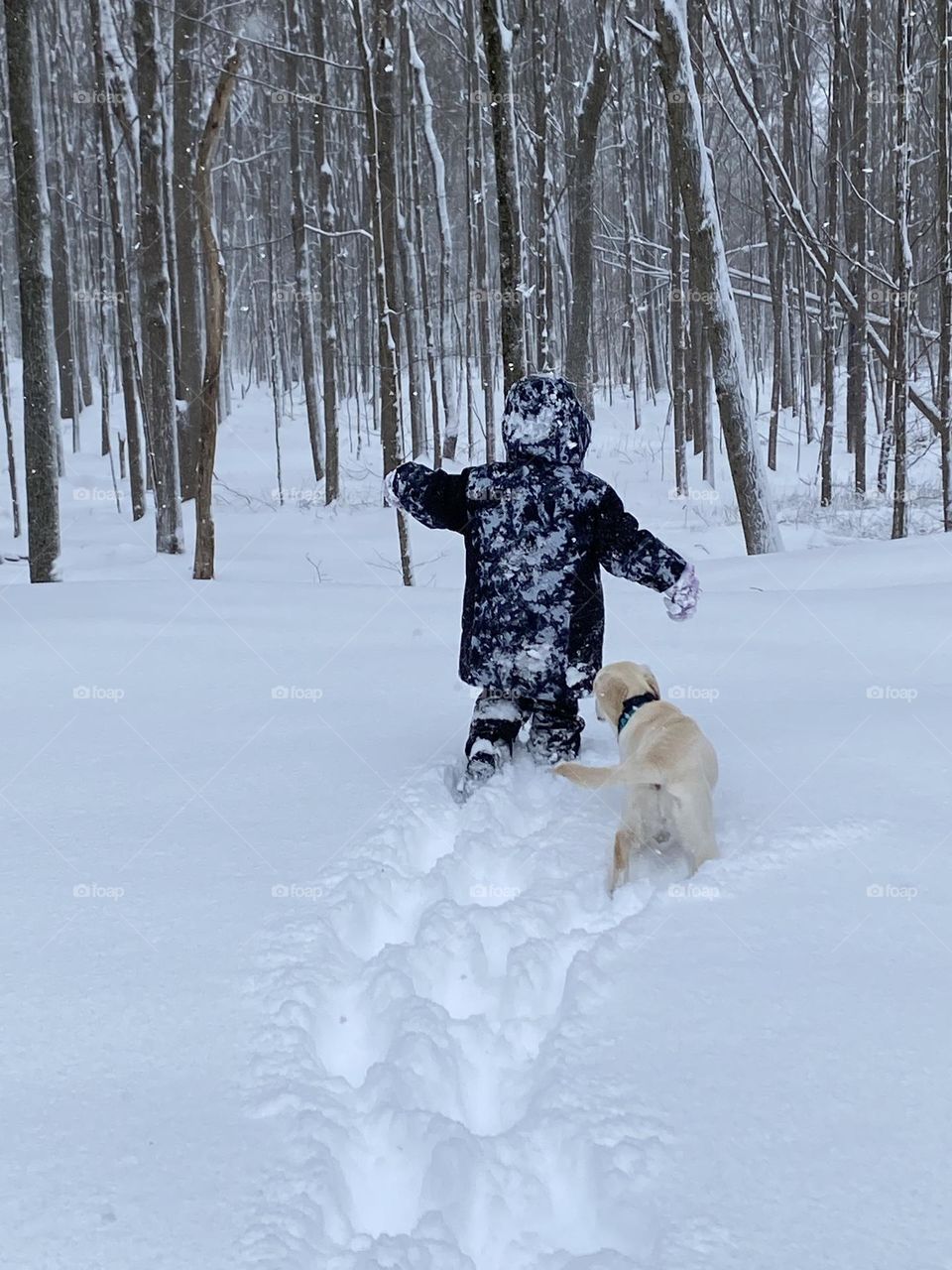 A young boy in snowy clothes from the back running through deep snow followed by his Labrador retriever puppy. 
