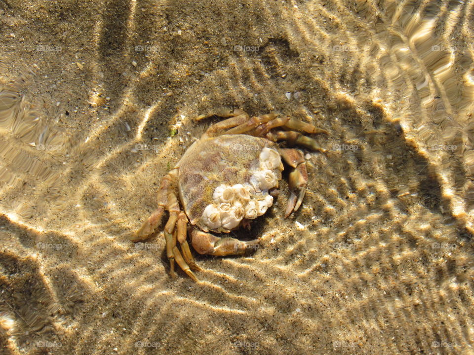 At the seaside