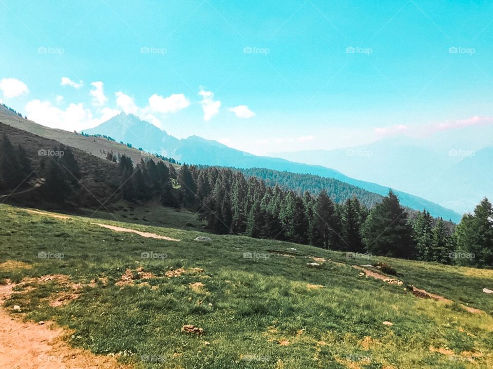 Mountains and forest view, lots of trees, green grass . Beautiful nature, summer weather is great , hiking trip , nature landscape.