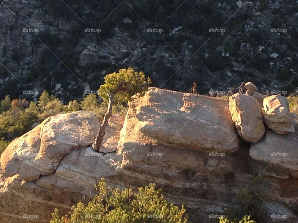 High above. Mt Lemmon Az
