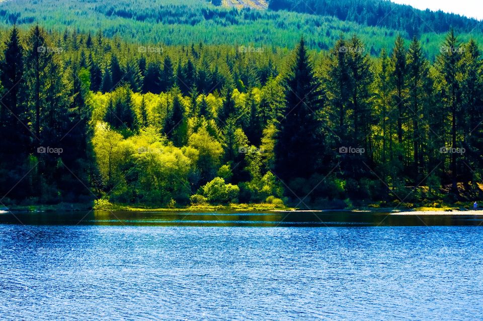 View of idyllic lake