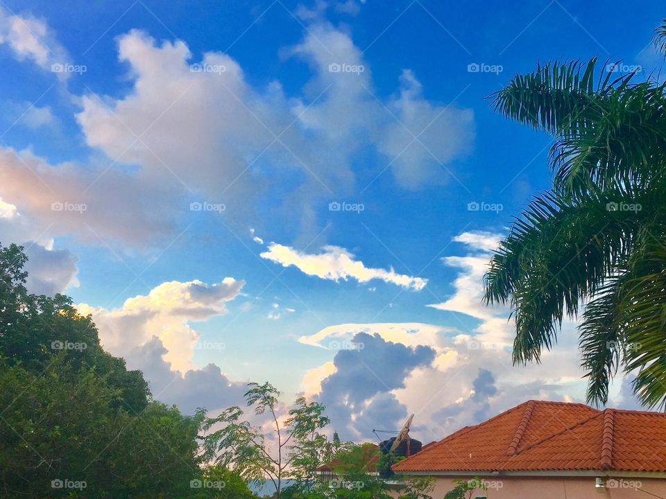 Tropical Sky